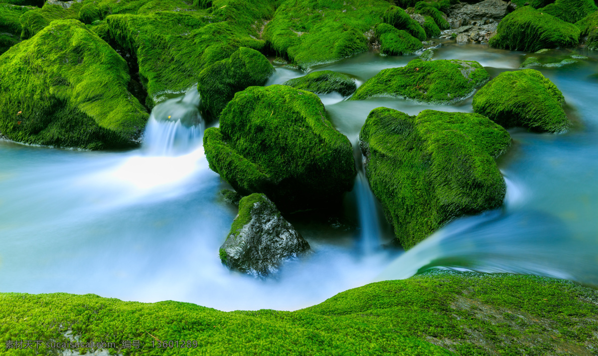 绿色青苔照片 绿色 青苔 水 景色 风景 自然景观 自然风景