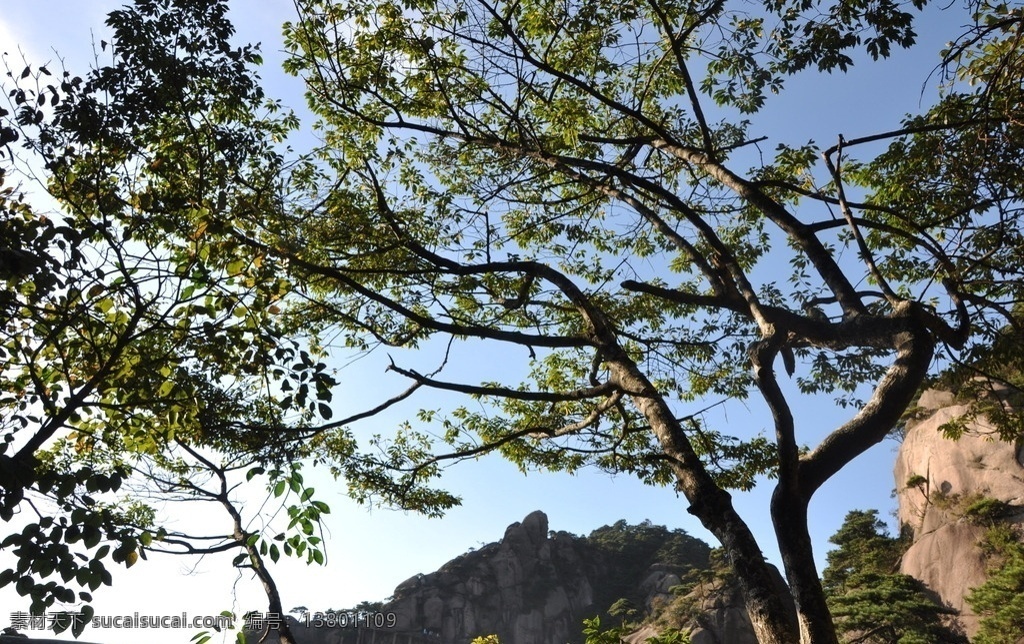 三清山 少华山 丫山 上饶三清山 江西 上饶 山峦 风景 山川 雄伟山峰 美景 三清山之旅 自然景观 风景名胜