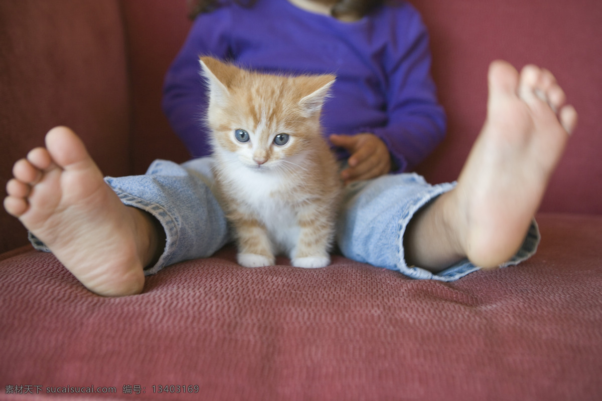 可爱 小 猫咪 小女孩 宠物 宠物猫 小猫 可爱儿童 猫咪图片 生物世界