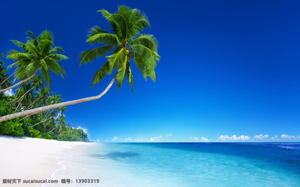 大海沙滩椰树 海滩 沙滩 清澈 海边 岩石 云彩 海浪 大海 椰树 椰子树 波浪 阳光 浪花 夏日风景 夏季风景 热带风景 风光 自然风景 自然景观 自然风景系列