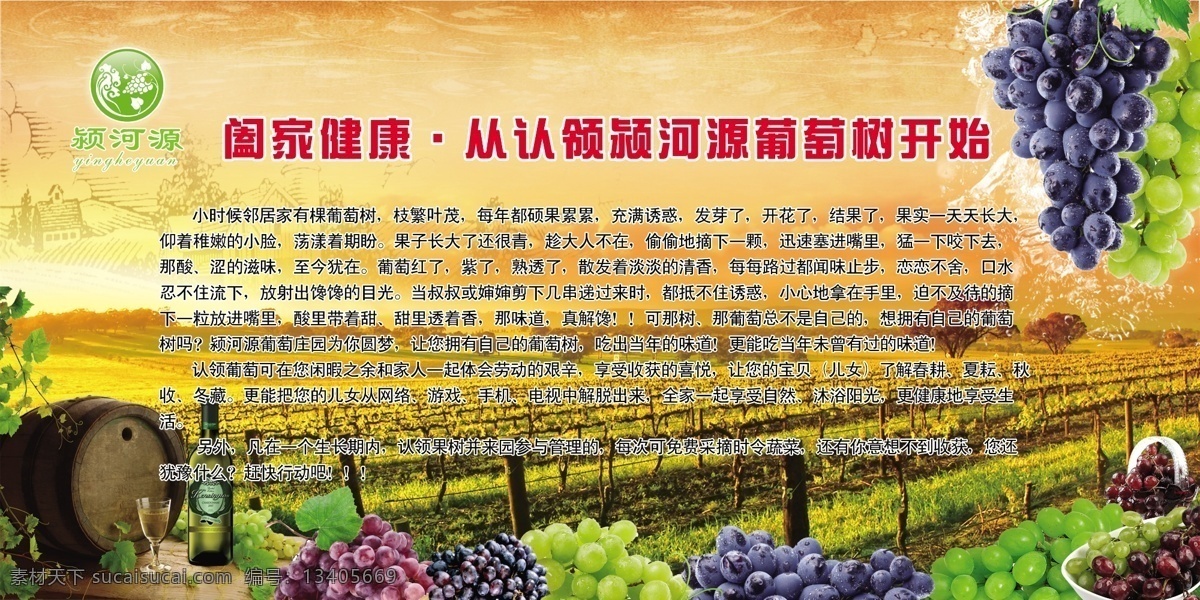 清新葡萄展板 安全 葡萄 绿色