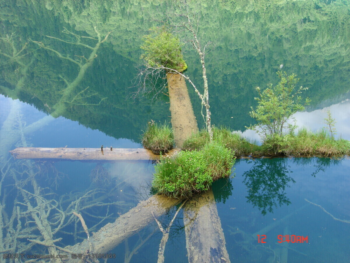 大自然的祈祷 九寨沟 明澈 水 树 十字架 自然风景 旅游摄影 绿色