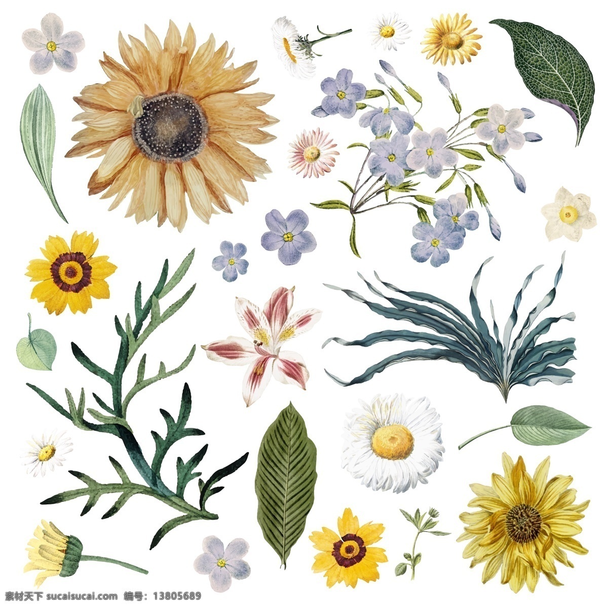 花朵背景图案 花纹 图案 花的世界 手绘 花素材 花卉 花 花背景 底纹边框 花边花纹