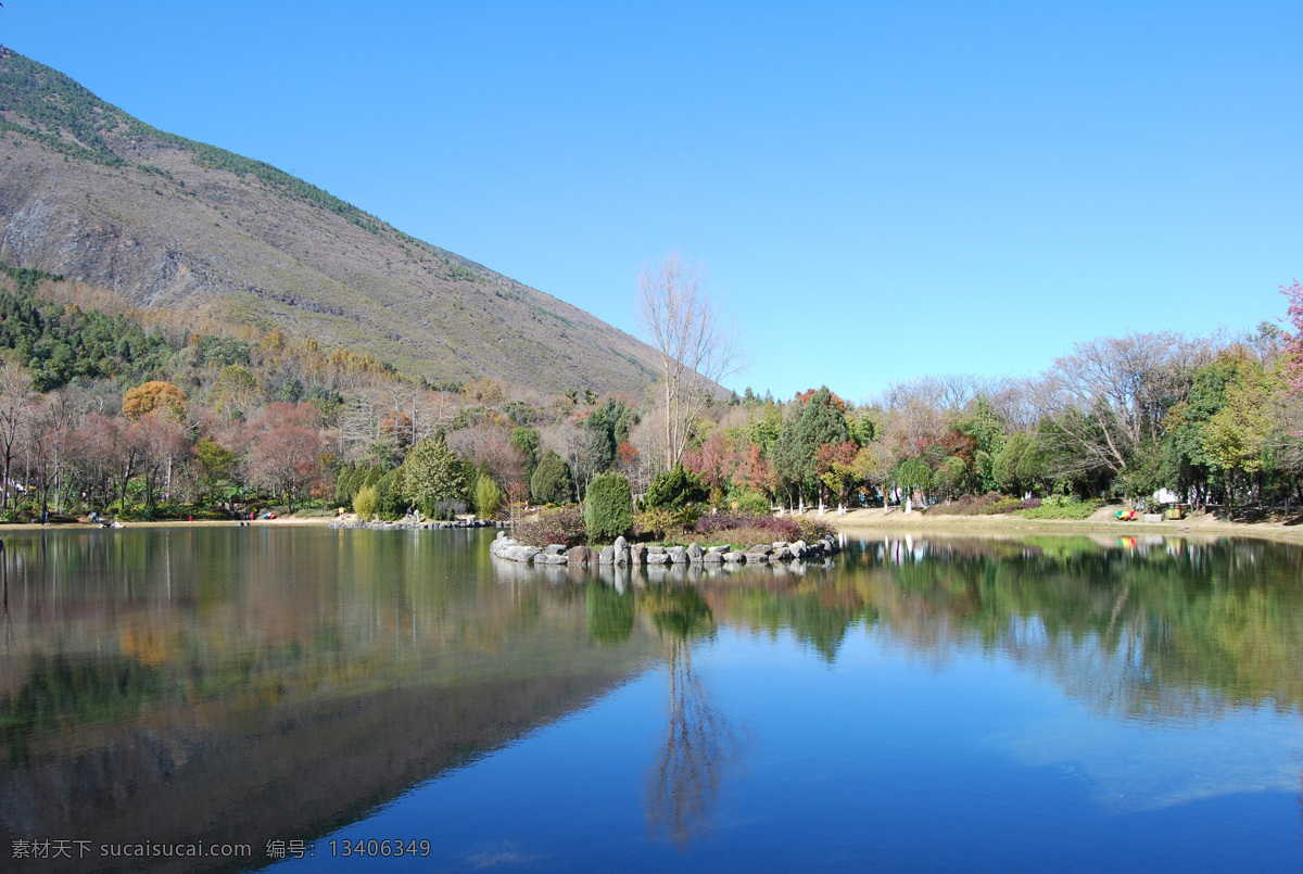 树免费下载 风景 山水风景 摄影图 树 植物 自然景观 水 家居装饰素材 山水风景画