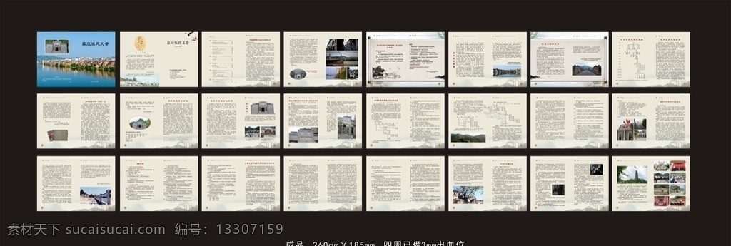 族谱画册 族谱 画册 相册 书刊 文刊 文荟 松口 古镇 中国风 水墨