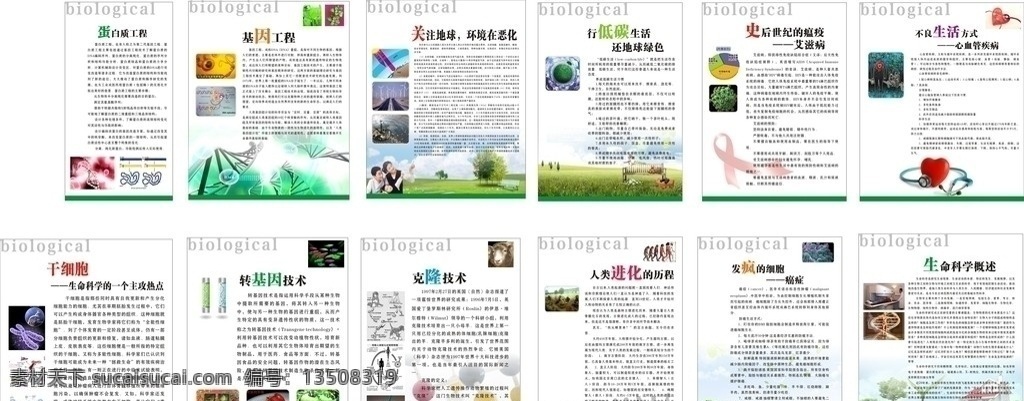 生物展板 学校展板 校园建设 文化建设 化学 绿色 常用模板 学校 模版 矢量 海报 模板 展板模板 展板底纹 展板模版 设计展板 底纹 背景 展板装饰 底纹边框 底纹背景 广告模板 海报模板 标语 专栏背 矢量图库 校园