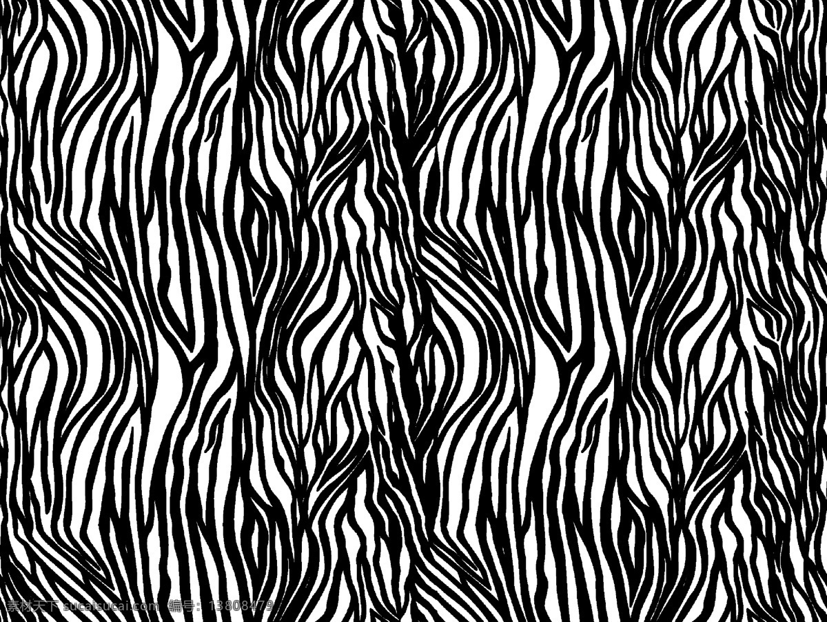 斑马纹 纹理 动物 低温 黑白 线条 分层
