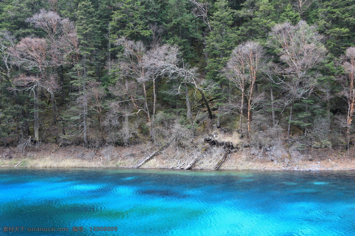 九寨沟风光 九寨沟旅游 四川旅游 四川风景 四川美景 山水 风光 阿坝州风景 旅游摄影 国内旅游