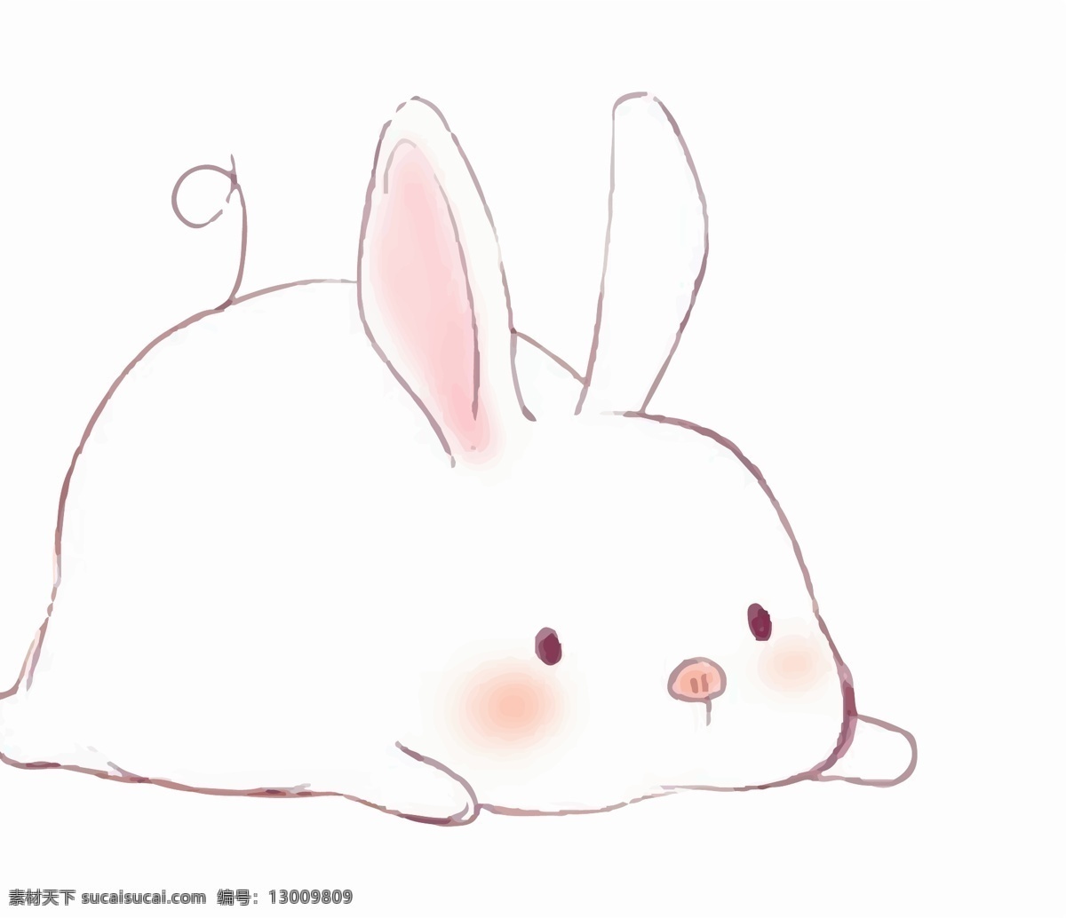 原创 手绘 只 肥肥 大 兔子 可爱 白兔子 肥肥的 吃萝卜 小动物