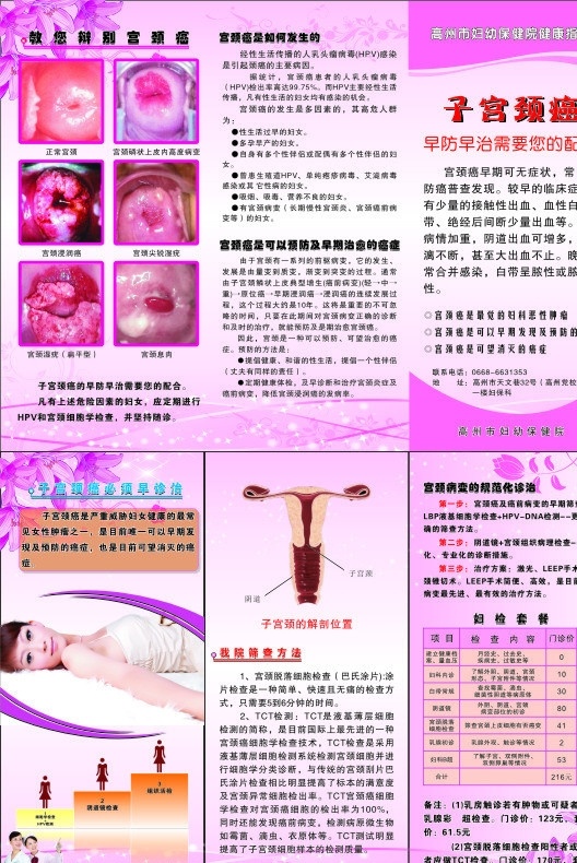 子宫颈癌广告 子宫颈癌 妇科广告 宣传单 医疗保健 生活百科 矢量