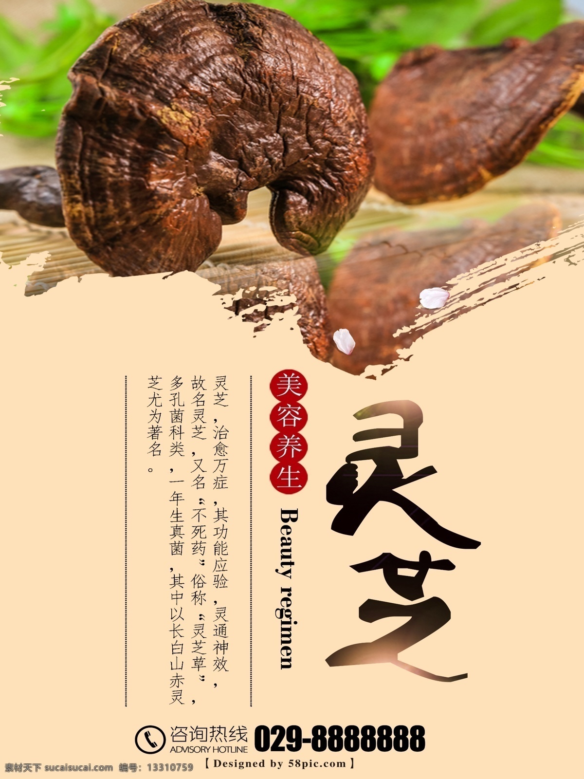 灵芝 美食 养生 海报 灵芝图片 野生灵芝 美食养生 美食海报 野生灵芝图片 灵芝的功效 灵芝作用图 灵芝素材 灵芝挂画 中药店灵芝 灵芝用药 灵芝药店展板