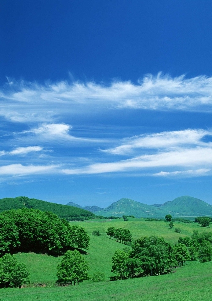 天空景观 天空 蓝天 白云 云朵 树 自然风景 自然景观