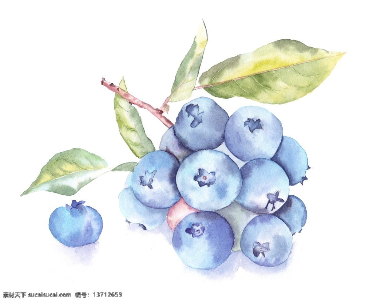 白光 蓝莓 源文件 蓝色 水果 psd源文件 装饰素材 设计素材