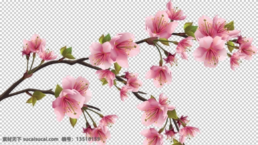红色花 植物 花 粉色的花 桃花 桃树 桃树枝 桃枝 桃花素材 桃花元素 桃花装饰 花朵 浪漫花 花素材 装饰花纹 矢量花 矢量元素 免扣元素 粉色桃花 桃花枝 花卉素材 桃 桃花背景 粉色花 花瓣 红花