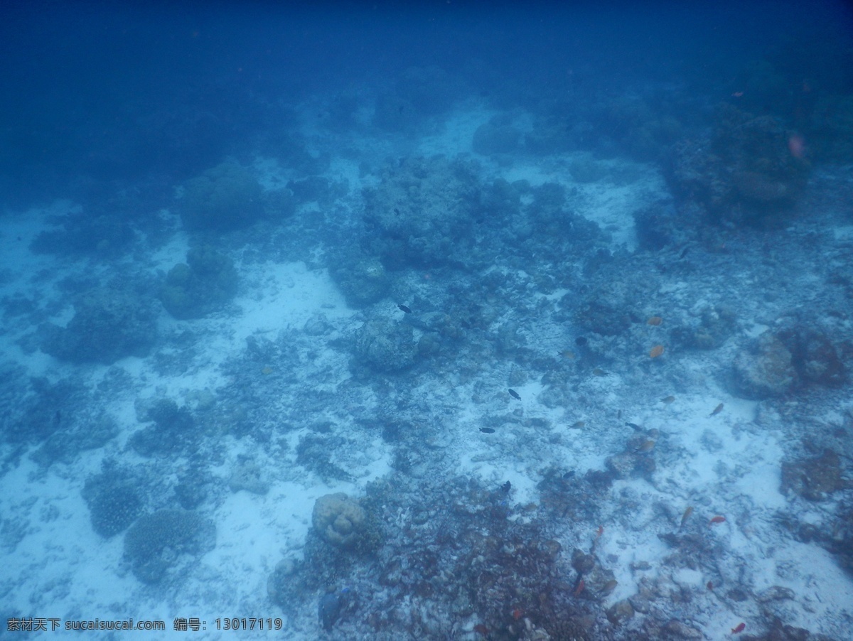 海底世界 马尔代夫 珊瑚礁 大海 海水 海洋 蓝色海洋 清澈 湛蓝 热带 生物 摄影作品 自然景观 自然风景