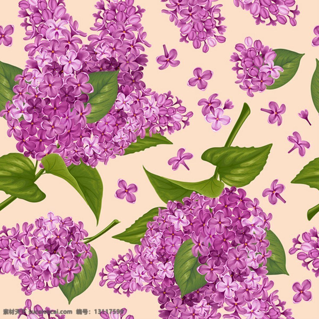 紫色花朵背景 花 花朵 紫色花朵 薰衣草 背景 广告