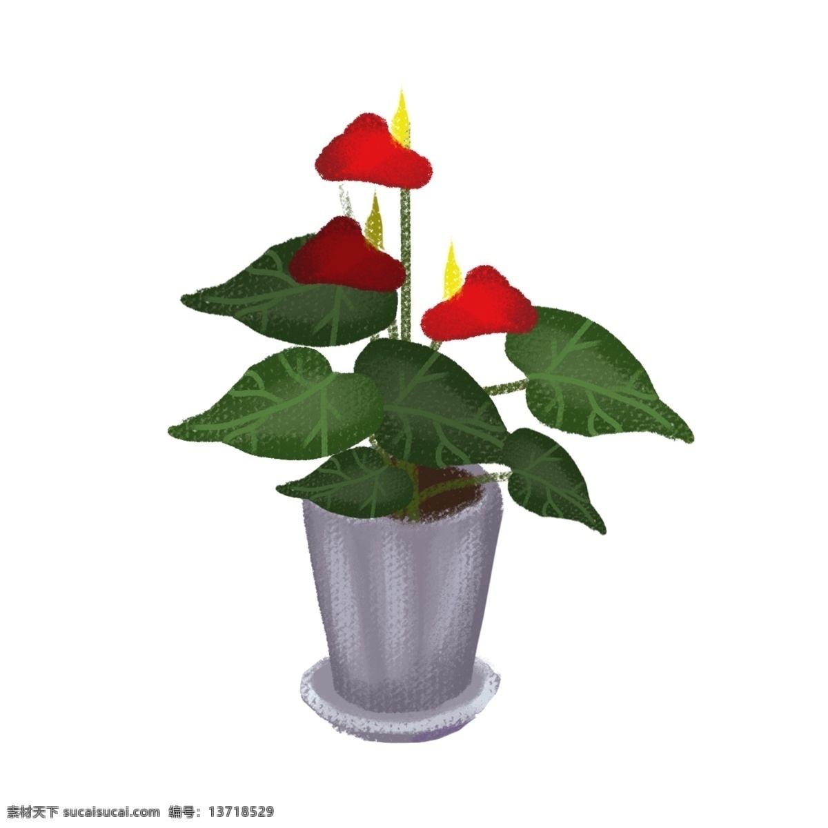 手绘 花盆 彩色 卡通 免抠 透明底 无背景 原创 平面设计 装饰设计 插画 装饰 小清新 通用