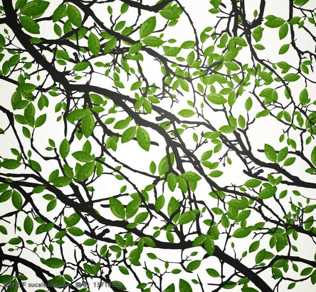 绿树免费下载 背景 春季 春天 底纹 绿树 绿叶 绿叶矢量素材 生物世界 树木树叶 绿叶模板下载 矢量