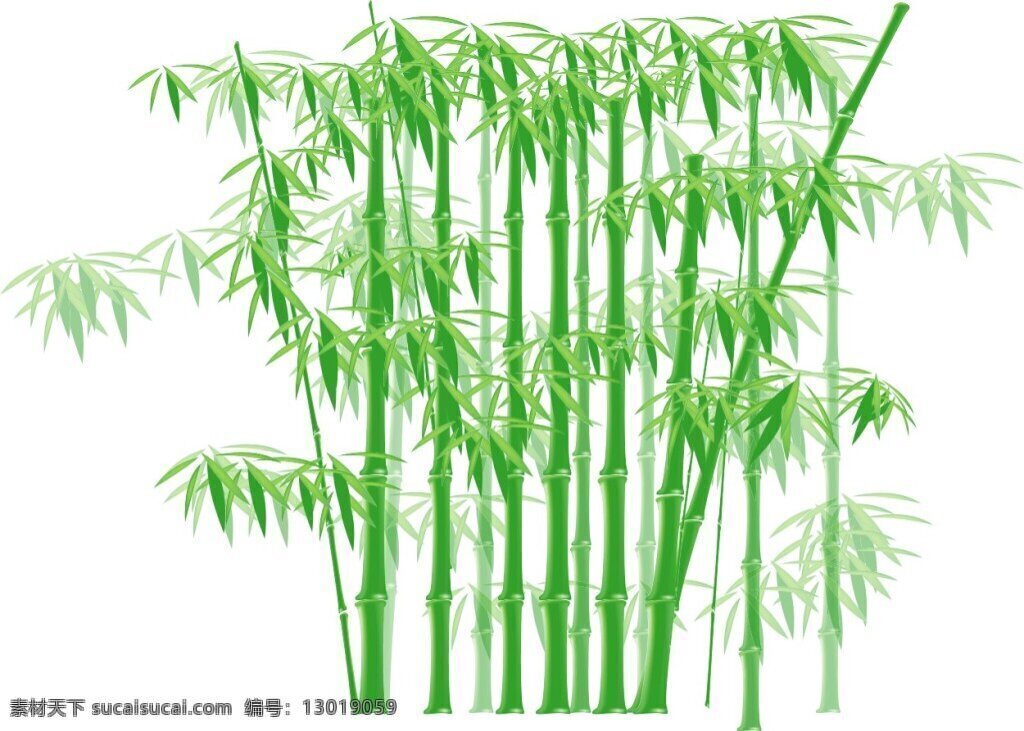 矢量绿色竹 竹子 竹叶 矢量 绿色 插画 矢量竹子素材