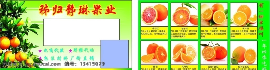 秭归脐橙 秭归 脐橙 名片 九月红 伦晚 桃叶橙 动漫动画 动漫人物