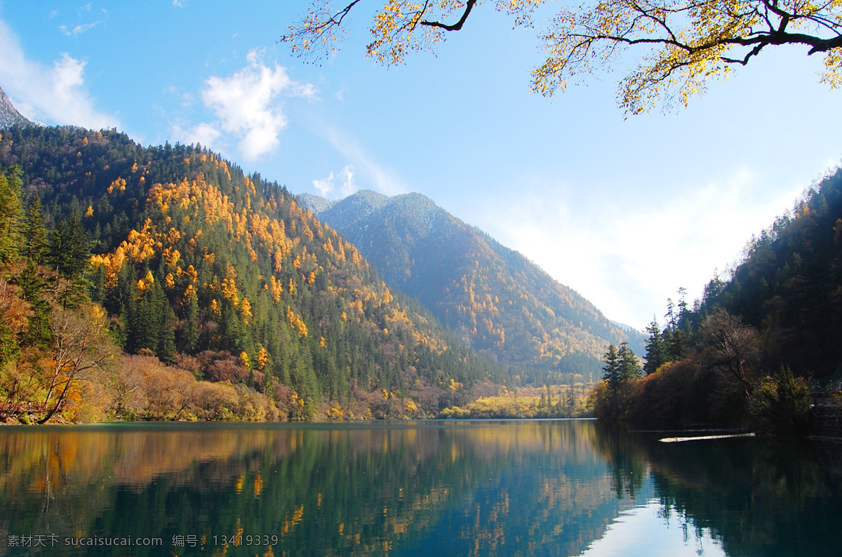 九寨沟风光 九寨沟 湖水 青山绿水 大树 树丛 树林 山林 高山 山脉 群山 森林 森林公园 四川 生态旅游 蓝天白云 山水风景 自然景观