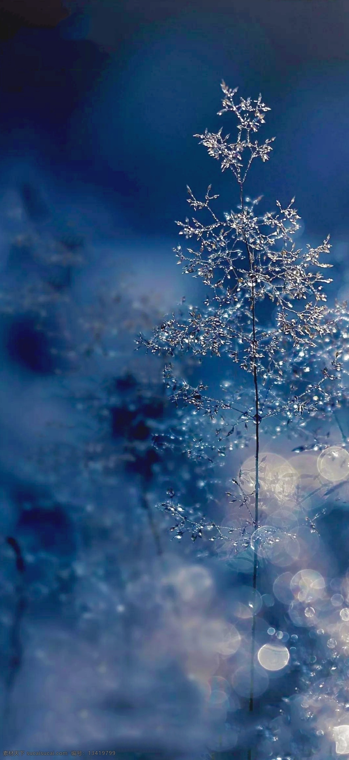 霜降 大寒 节气 冬天 雪花 冰花 地产 海报 底纹边框 背景底纹