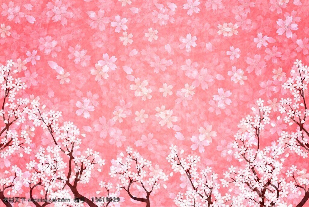 美丽 樱花 背景 唯美 粉色 底纹