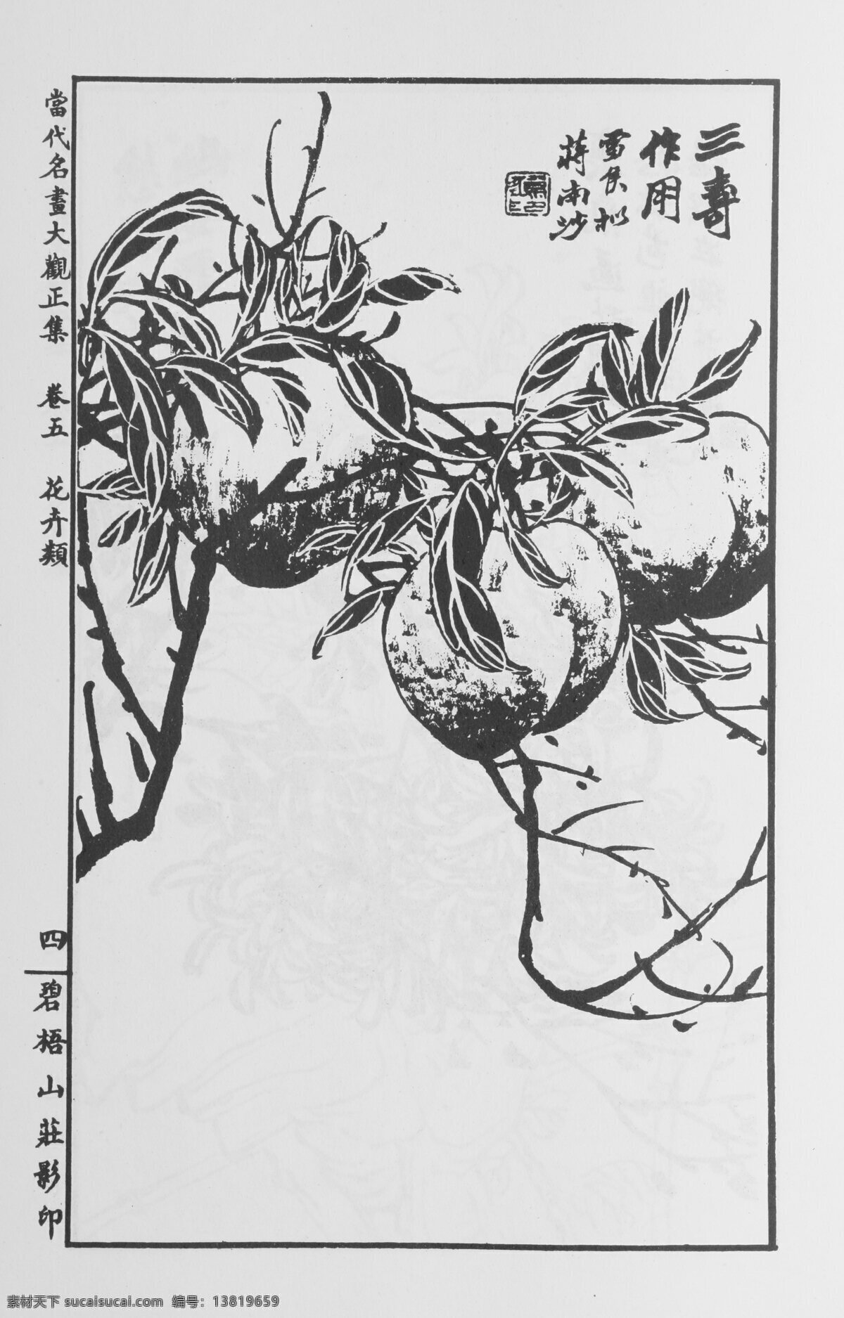 花卉画 中国画 当代 名画 大观 正 集 设计素材 花鸟画篇 中国画篇 书画美术 白色