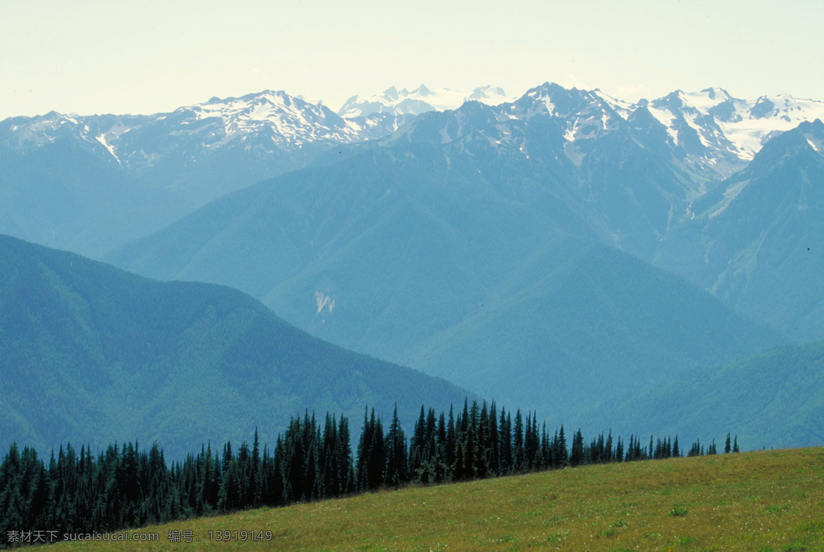 草地 森林 山 山水风景 山水剪影 摄影图库 树林 树木 山水 剪影 山恋 雪山 野草 自然景观 psd源文件