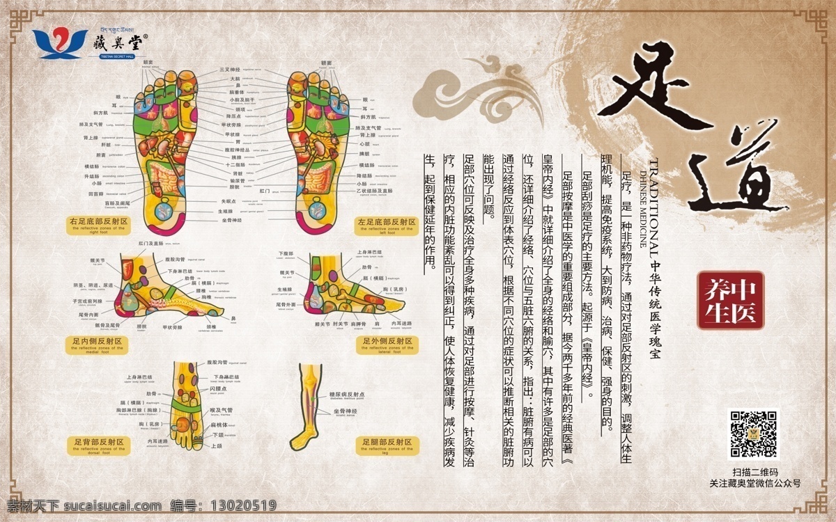 脚部经络 藏奥堂 脚底经络 脚底反射区 足疗