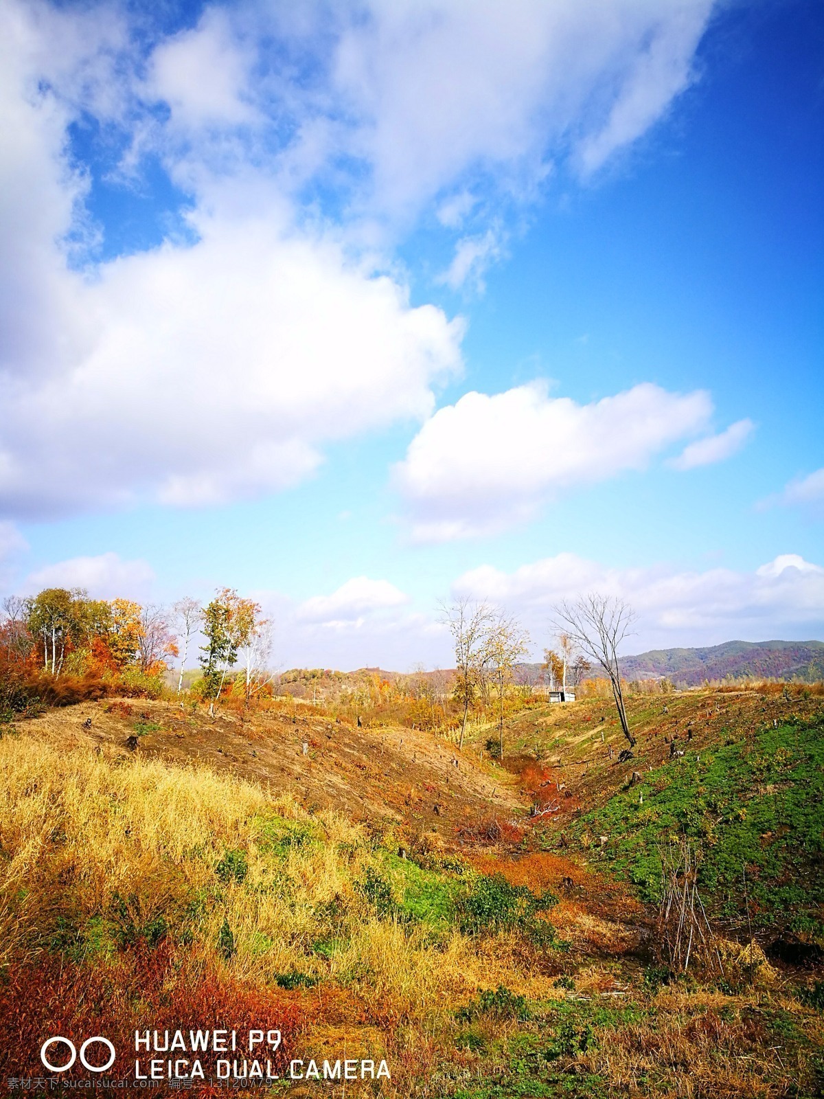 深秋 东北 秋收 美景 自然美景 自然景观 山水风景