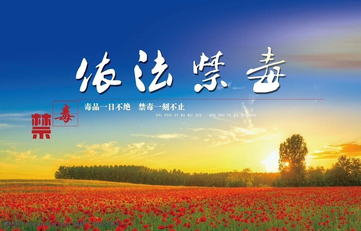 禁毒标语 禁毒 依法禁毒 戒毒所标语 展板 蓝色 展板模板