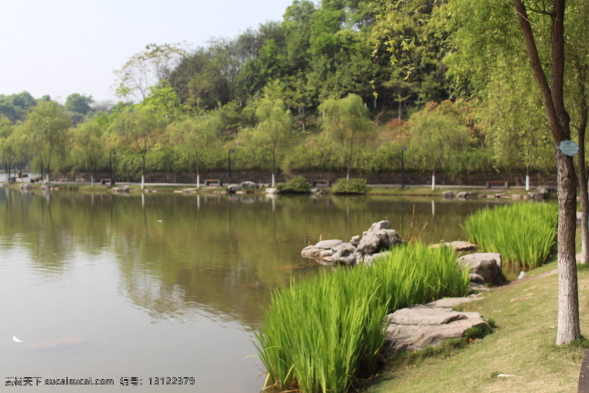 重庆大学一角 重庆大学 春天 绿树 美景 蓝天 湖水 倒影 国内旅游 旅游摄影