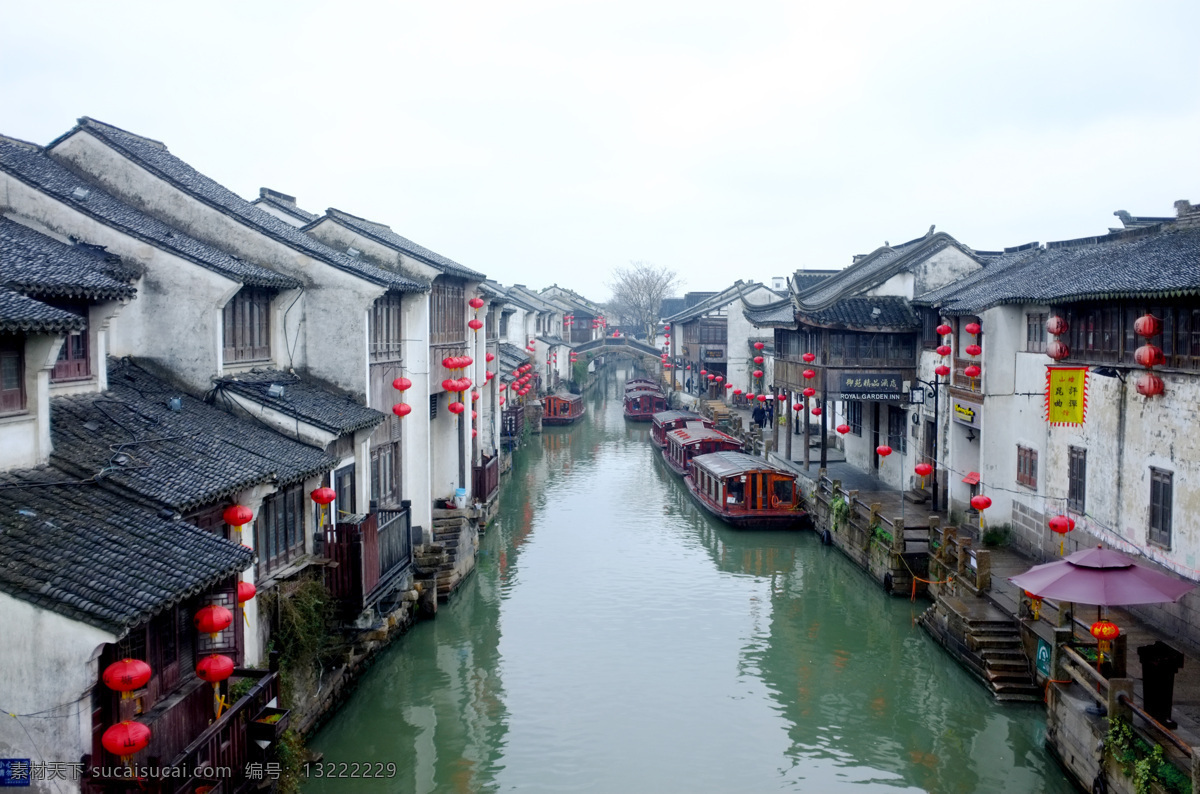 苏州 江南水乡 花开 冬季的花 古镇 流水 旅行 旅拍 游船 行走 冬季的苏州 旅游摄影 国内旅游