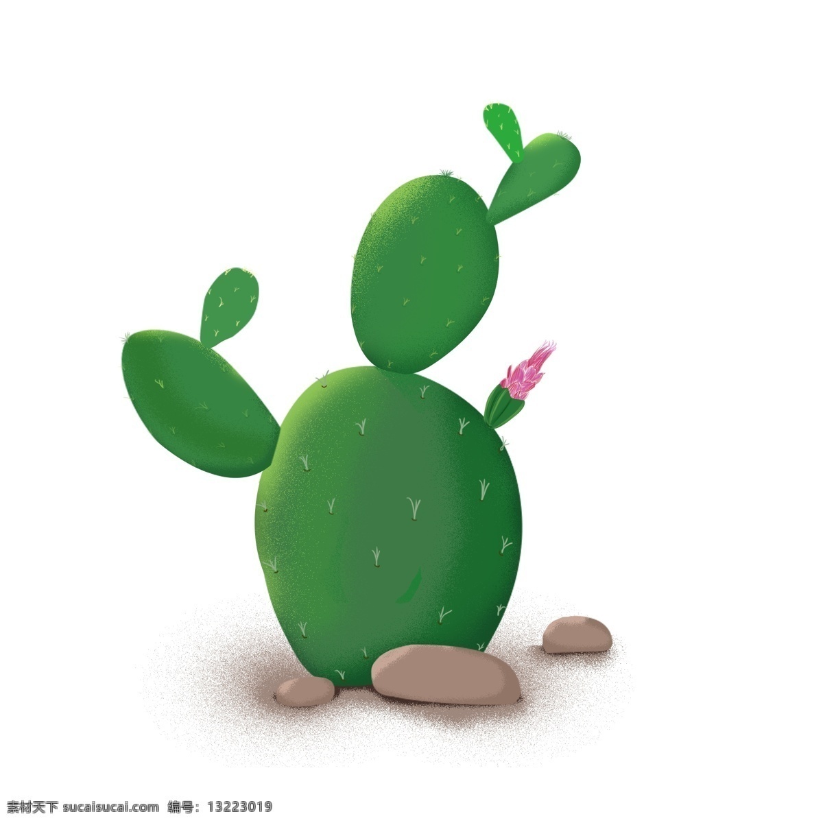 仙人掌 植物 石头 绿色 手绘 插 画风 元素 仙人掌花 装饰元素
