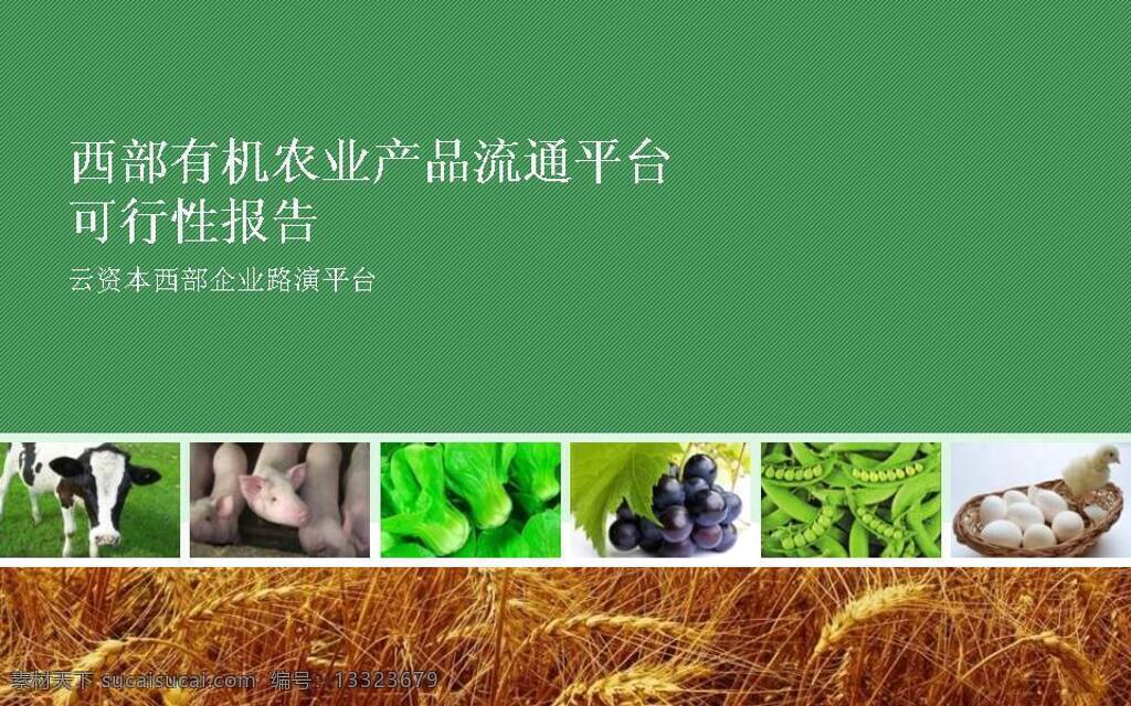 农产品 营销 报告 模板 ppt模板