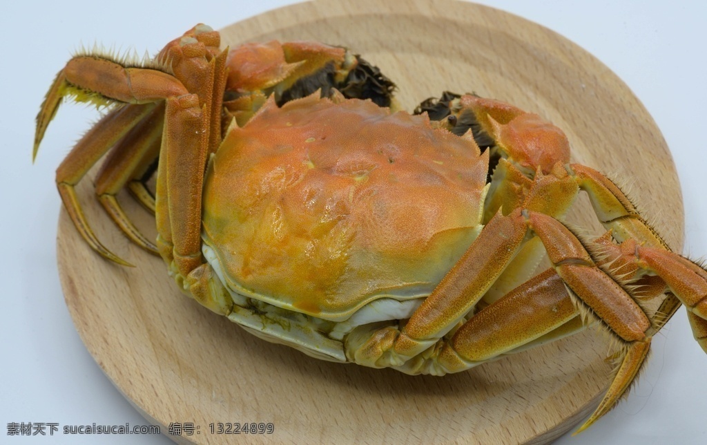 蟹 河鲜 水产品 水生动物 动物 甲壳类动物 营养 中华绒螯蟹 河蟹 毛蟹 清水蟹 大闸蟹 熟的 蒸 清蒸 蒸熟的 传统美食 食材 红色 白色背景 特写 一只螃蟹 木托盘 简单 餐饮 饮食 室内拍摄 熟食 爪子 蟹足 蟹类 新鲜 一个物体 餐饮美食