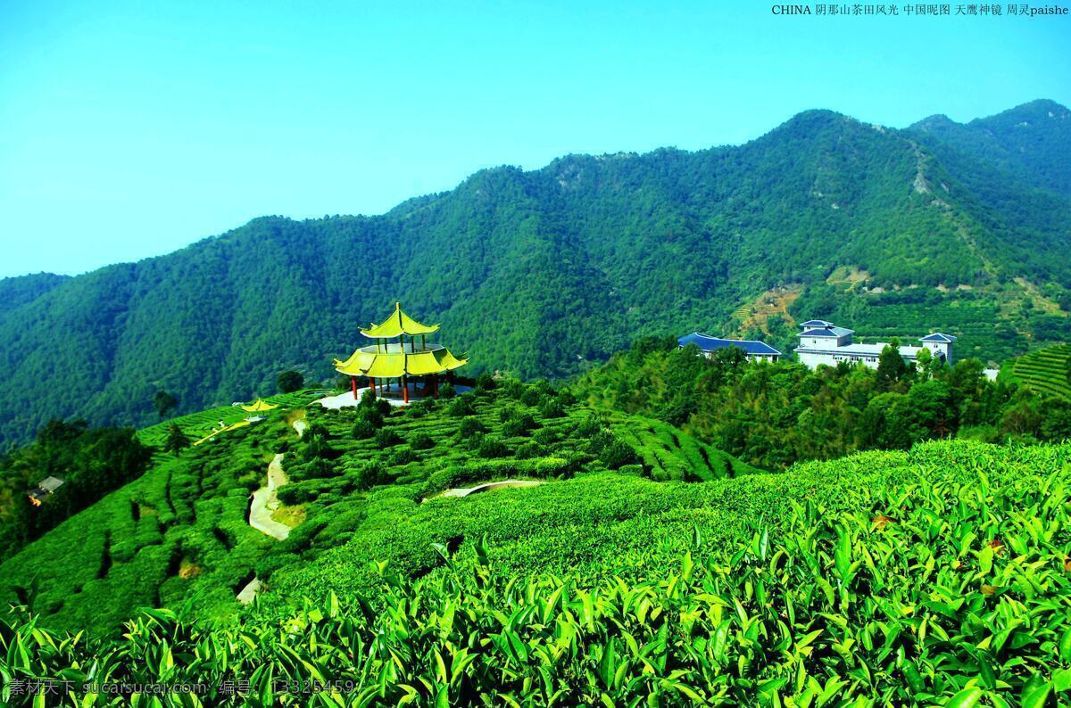阴 茶 田 绿 映 神州 梅州雁鸣湖 山茶 风光 梅州阴那山 梅州 aaaa 级 风景区 阴那山 广东梅州 梅州梅县 梅县雁洋 高山茶田 山顶茶园 道路 凉亭 景区建筑 风景建设 草木 绿树 山岚 迷雾 蓝天 青天 天空 雁鸣湖 中国 级旅游区 周 灵 国际 ipa 昵 图 摄影图库 天鹰神镜 paishe 国内旅游 旅游摄影