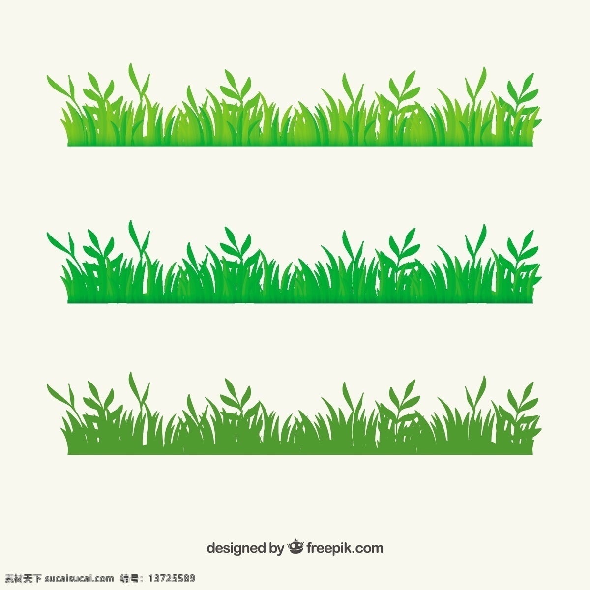 绿色 草地 边缘 边界 自然 草 春天 花园 植物 田野 草坪 草药 绿化 白色