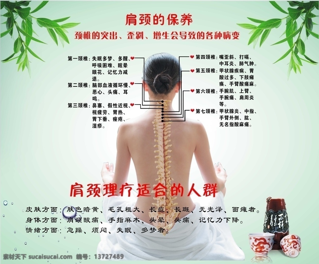 颈椎保养 美容院 美容 保养 美女 女人 背部保养 背部 颈椎 腰椎 头部 肾部 生殖 乳腺 心肺 宣传栏
