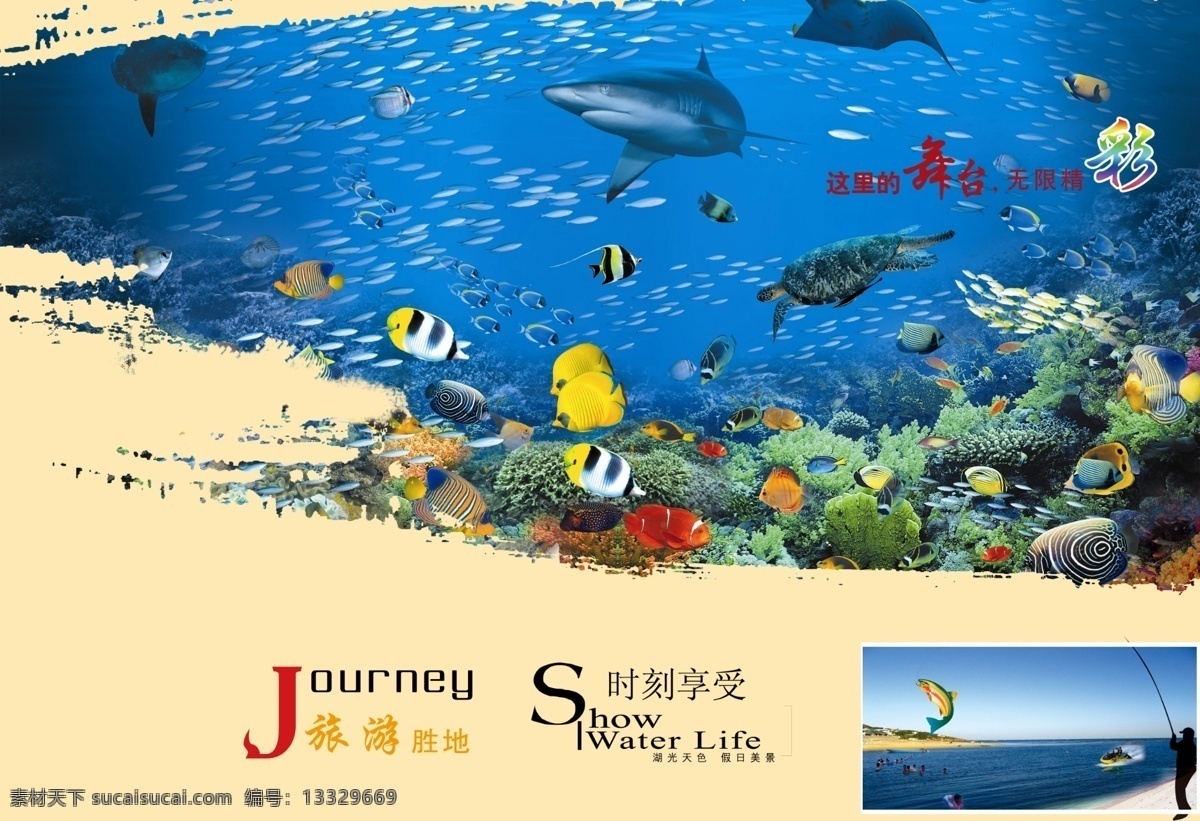 海洋视界风景 鱼 海水 钓鱼 海草 海龟 甲鱼 船 游泳的鱼 各种鱼类 广告设计模板 源文件
