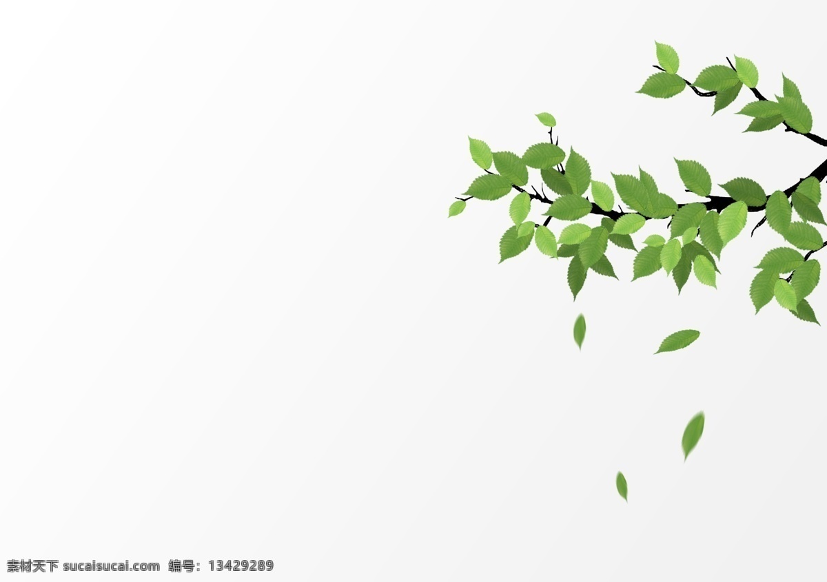 春天 绿色植物 树枝 树叶 元素 叶子 叶片 植物 树 装饰图案 装饰元素 夏天元素 夏季素材 春天元素 春天素材 春季元素 树干 落叶 绿色元素 绿色素材 海报元素 海报素材