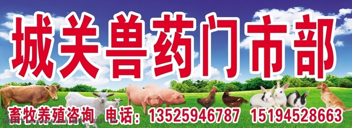城关 兽药 门市部 招牌 门头 蓝天 白云 风景 草地 动物 家禽 牛 绵羊 猪 鸡 兔子 狗 兽药店 兽药门市部 完美广告招牌 其他模版 广告设计模板 源文件