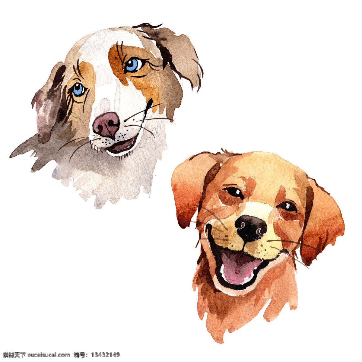 手绘水彩狗 宠物狗 犬类动物 驯化 饲养 狗粮 狗屎 土狗 野狗 母狗 猎犬 藏獒 哈士奇 松狮 金毛 雪纳瑞 大麦町犬 博美犬 吉娃娃 牧羊犬 萨摩耶 可卡 拉布拉多 京巴 比熊 贵宾犬 马尔济斯 比利时猎犬 泰迪熊犬 边境牧羊犬 阿拉斯加 猎狐 黄狗 家狗 流浪狗 印花狗 水彩绘画 彩绘狗 水彩狗