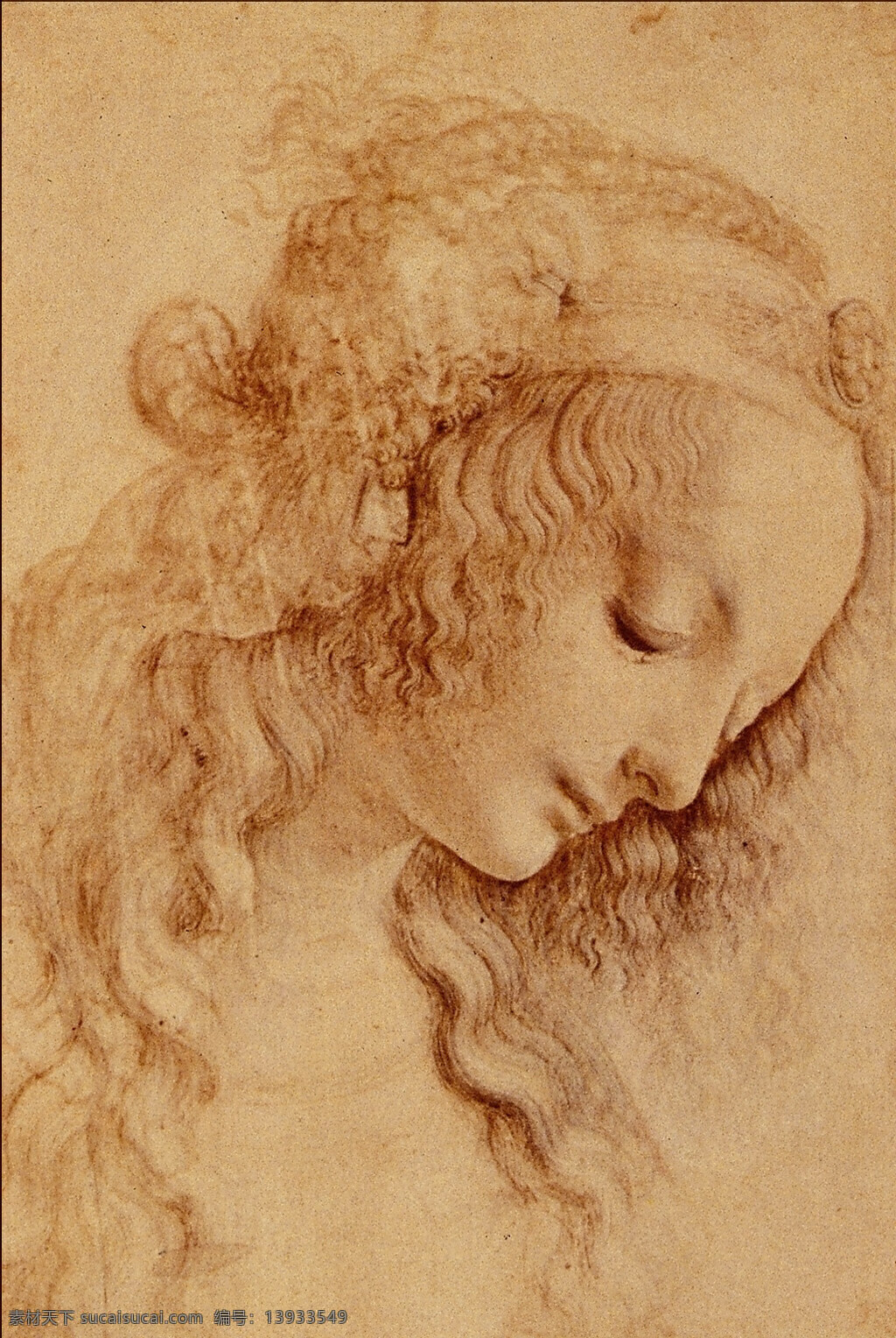 达芬奇绘画 达芬奇 绘画 女人头像 复古纸张 西方绘画 绘画书法 文化艺术
