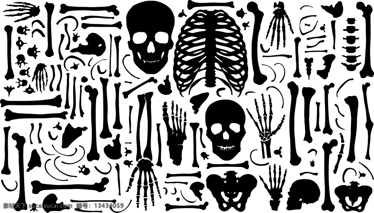 人体骨骼 人体透视图 人体动作 骷髅 人体透视 骨头组织 人体 骨骼 骨架 医疗保健 医学 生活百科 矢量
