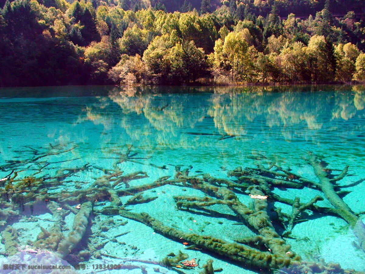 九寨沟 水 山水风景 摄影图 自然景观 家居装饰素材 山水风景画