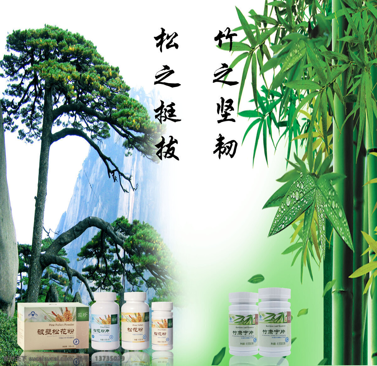 国珍 竹 松 松花粉 破壁松花粉