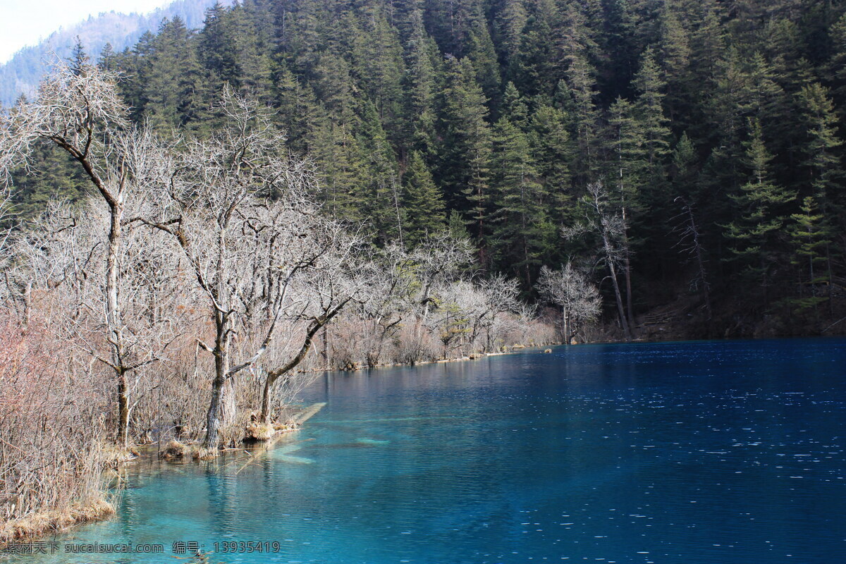 九寨沟 海子 宝石蓝 倒影 枯树 自然风景 旅游摄影
