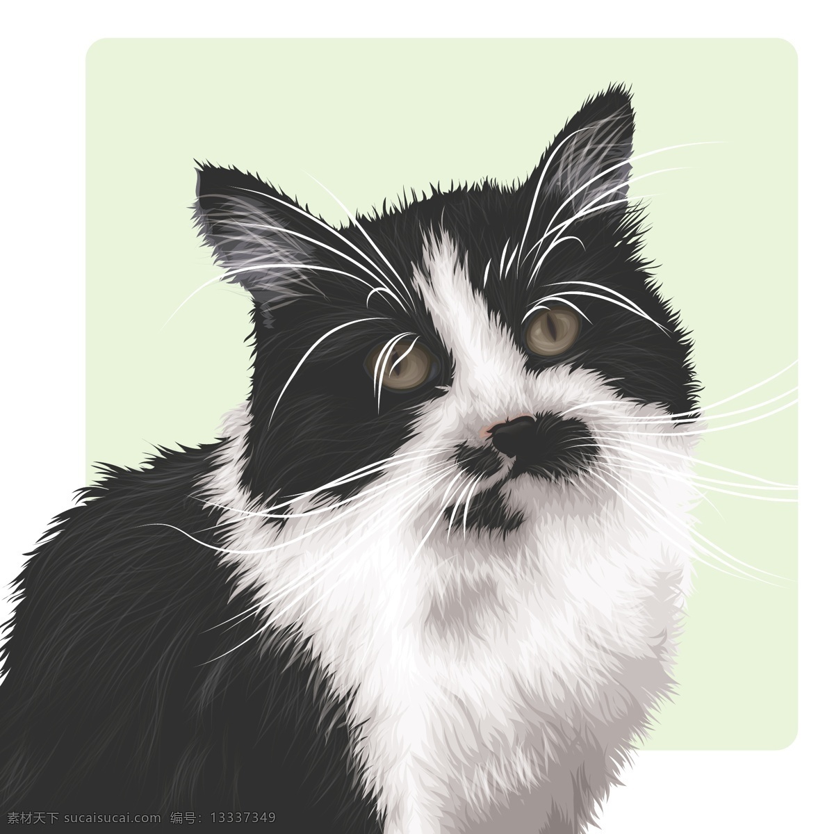 猫咪 矢量 宠物 动物 矢量素材 小猫 矢量图 其他矢量图